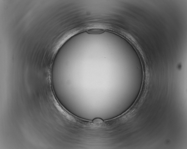 X0000116301433200912141325