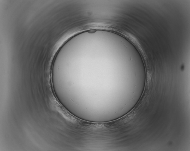 X0000116301435200912141325