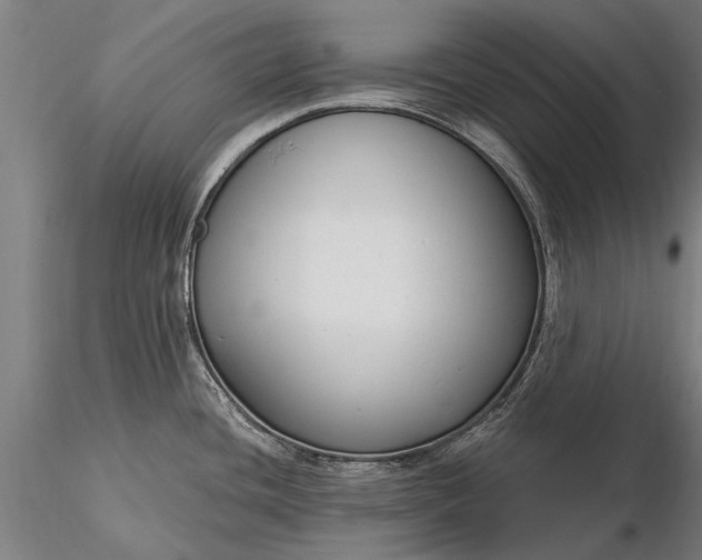 X0000116301436200912141325