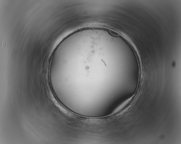 X0000116301437200912141325