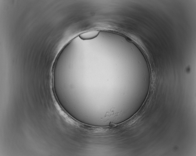 X0000116301439200912141325