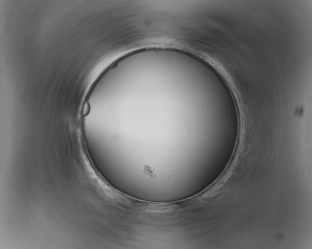 X0000116301440200912141325