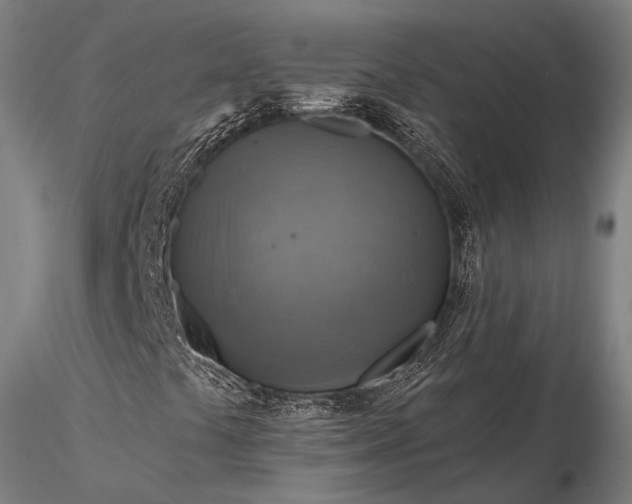 X0000116301441200912141324