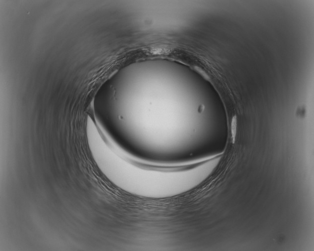 X0000116301443200912141324