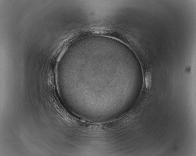 X0000116301444200912141324