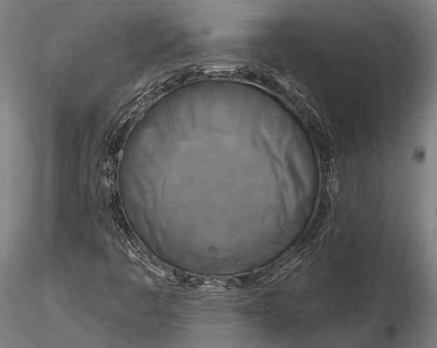 X0000116301445200912141324