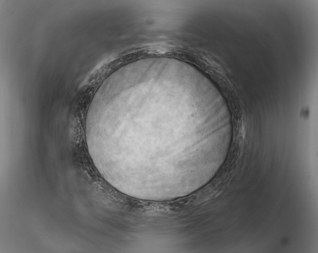 X0000116301446200912141324