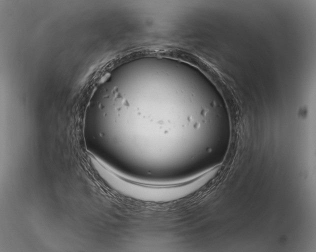 X0000116301447200912141324