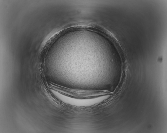 X0000116301448200912141324