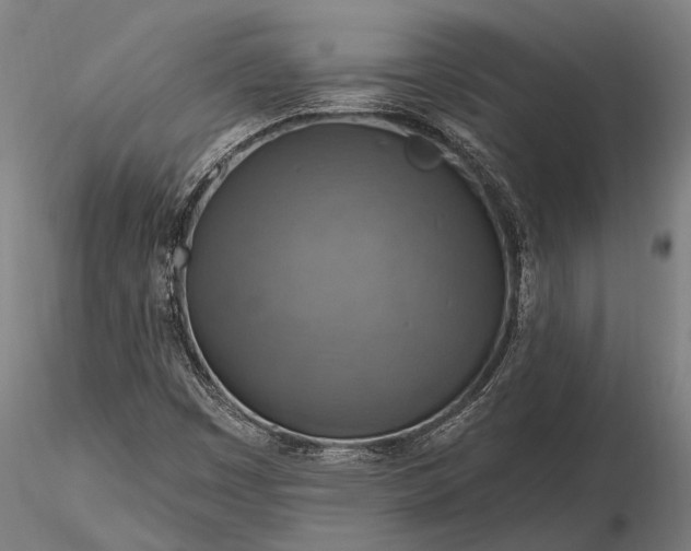 X0000116301449200912141324