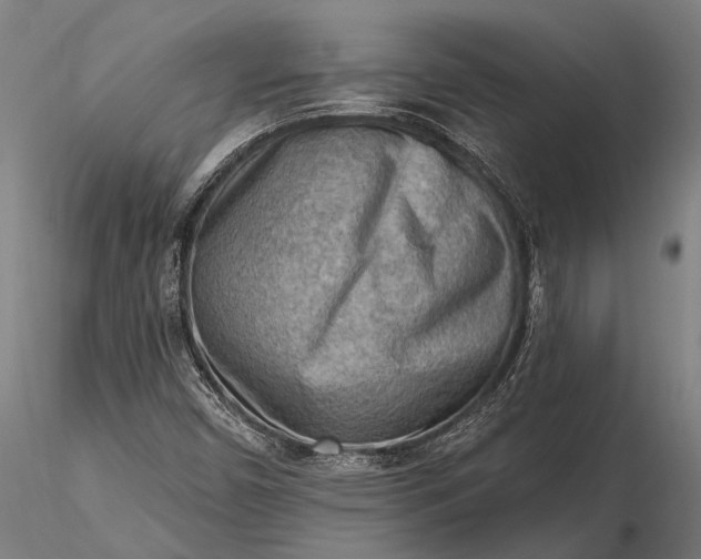 X0000116301450200912141324