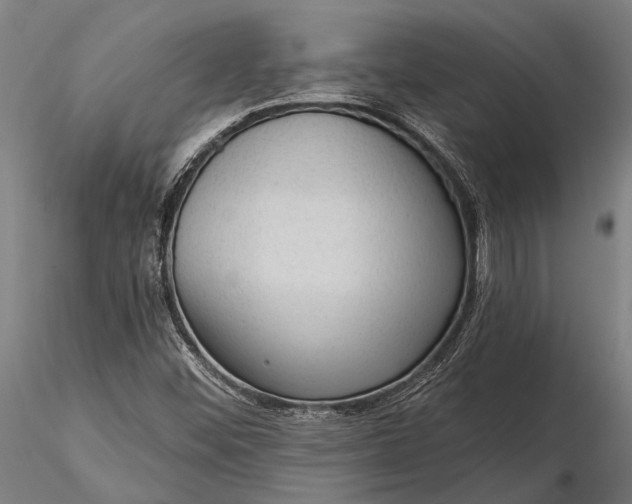 X0000116301452200912141324