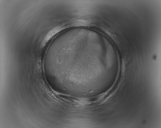 X0000116301453200912141324