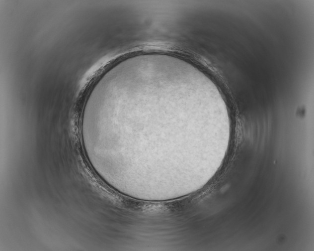 X0000116301454200912141324