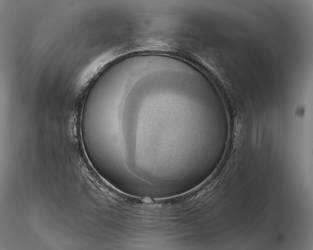 X0000116301455200912141324