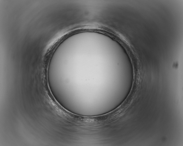 X0000116301456200912141324