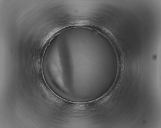 X0000116301457200912141324