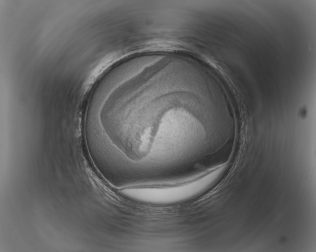 X0000116301459200912141324