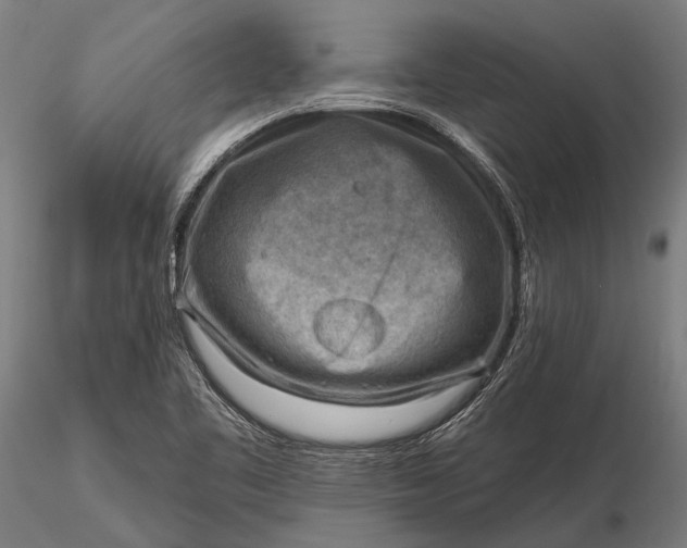 X0000116301461200912141324