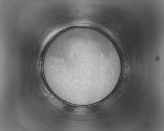 X0000116301462200912141324