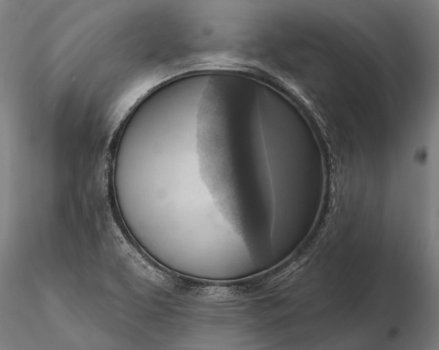 X0000116301463200912141324