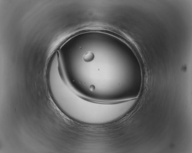 X0000116301464200912141324