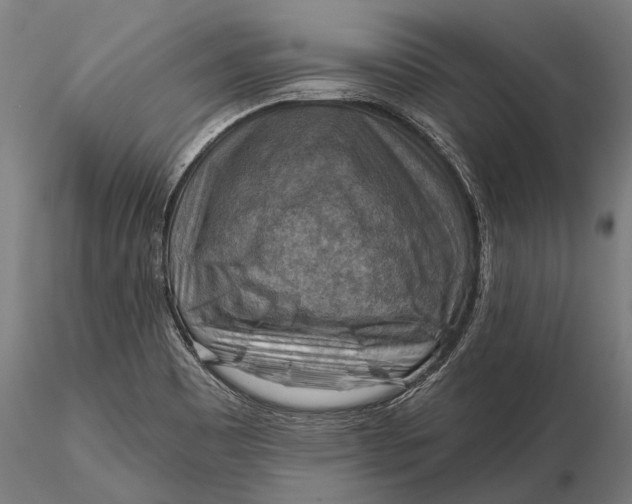 X0000116301465200912141324