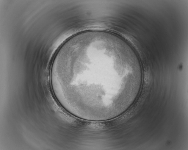 X0000116301466200912141324