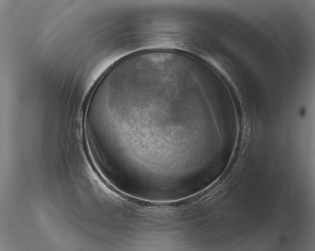 X0000116301468200912141324