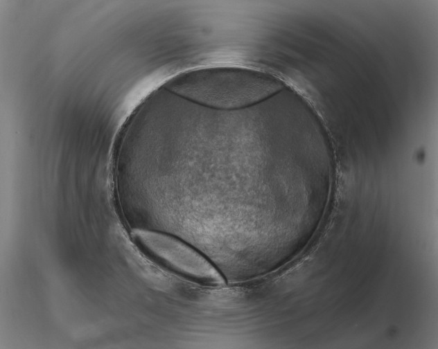 X0000116301469200912141324