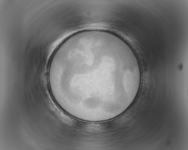 X0000116301470200912141324