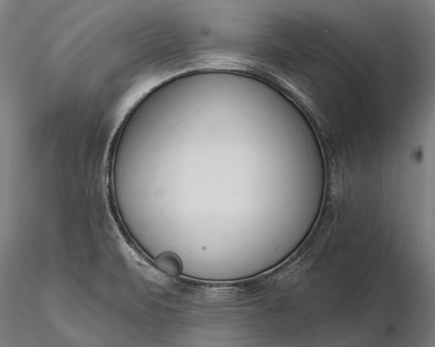 X0000116301471200912141324