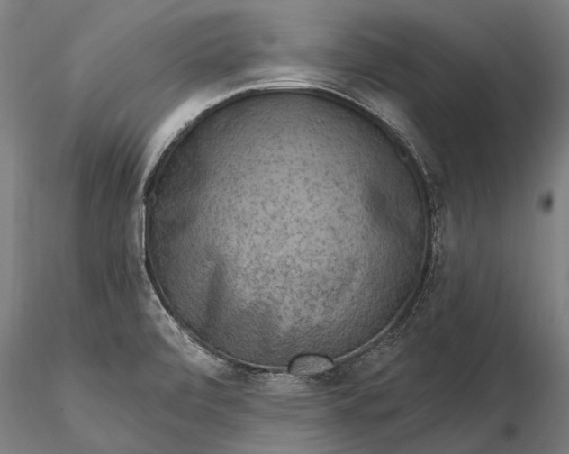 X0000116301472200912141324