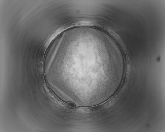 X0000116301473200912141324