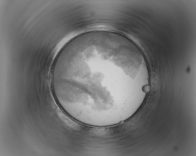 X0000116301474200912141324