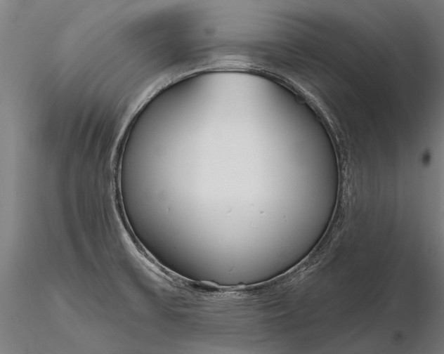 X0000116301475200912141324