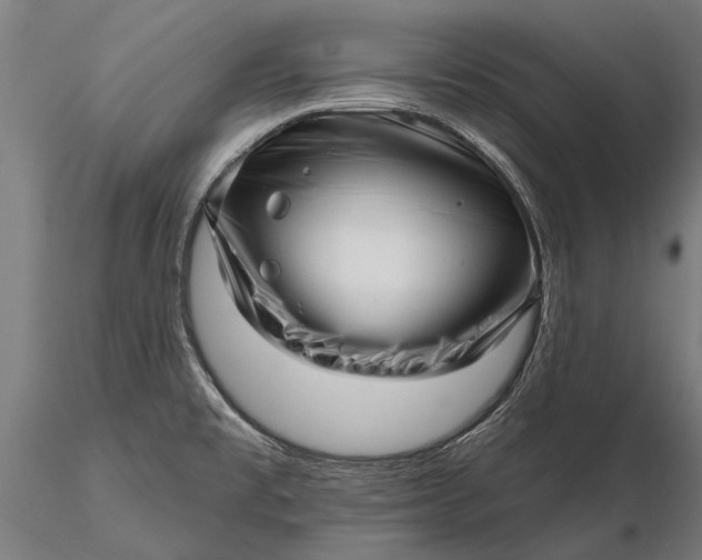 X0000116301477200912141324