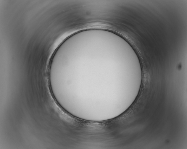 X0000116301478200912141324