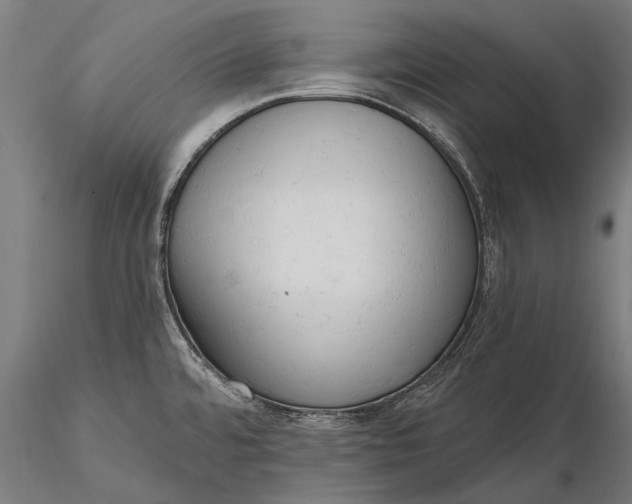 X0000116301480200912141324