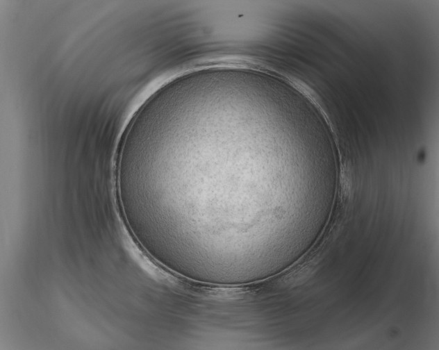 X0000116301482200912141324