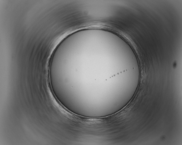 X0000116301483200912141324