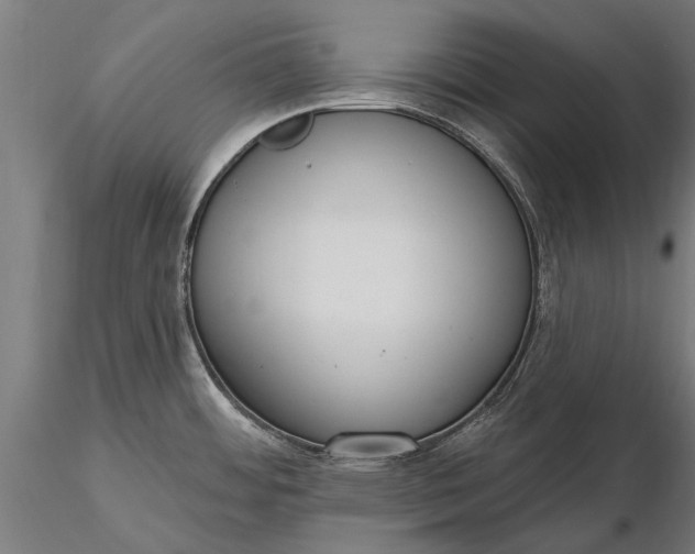 X0000116301484200912141324