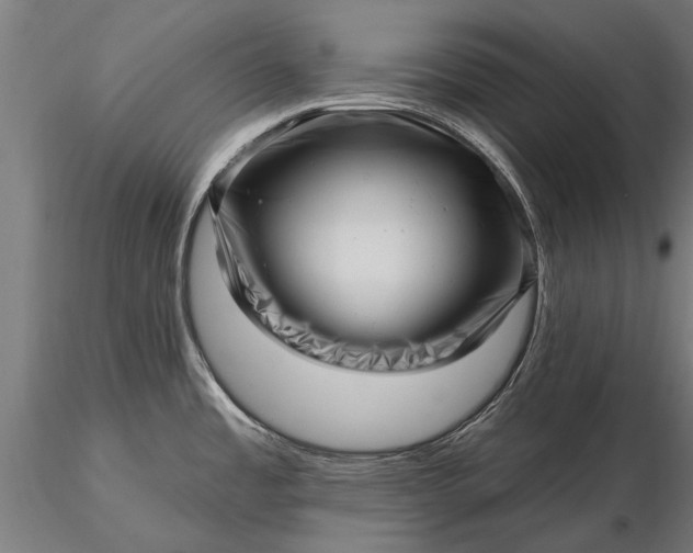 X0000116301485200912141324