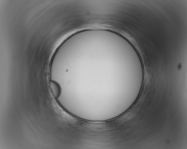 X0000116301486200912141324