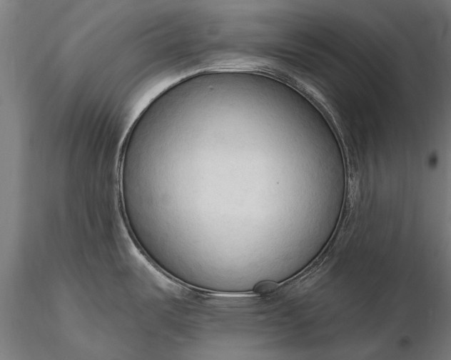 X0000116301487200912141324