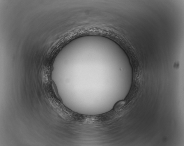 X0000116301490200912141323