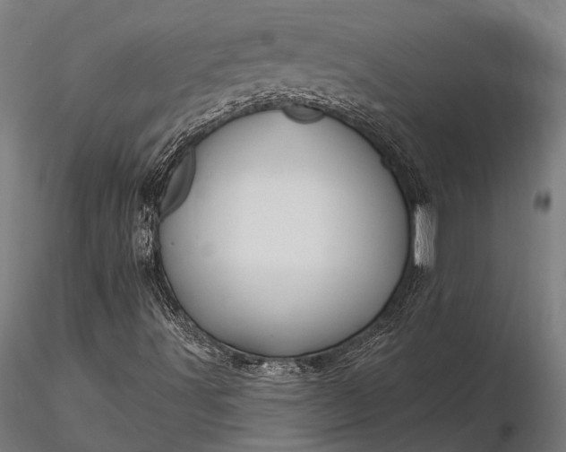 X0000116301491200912141323