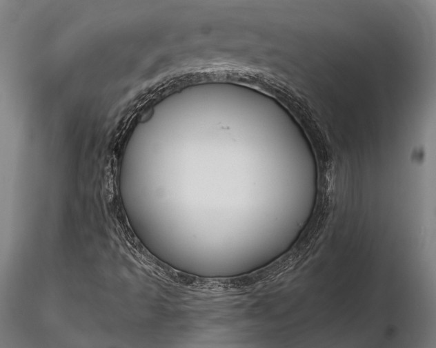 X0000116301493200912141323