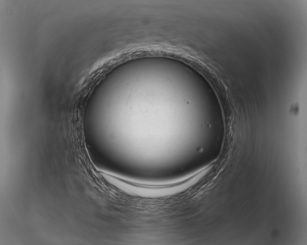 X0000116301494200912141323