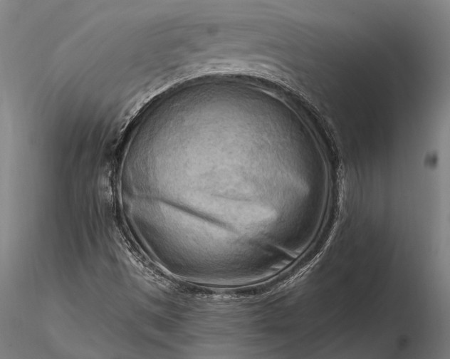 X0000116301497200912141323